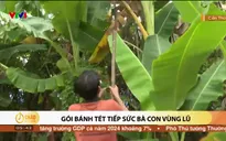 Việt Nam thức giấc - 16/9/2024