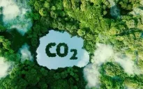 World Bank sẽ mua tín chỉ carbon ngành lúa gạo