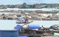 Hơn 190.000 hecta lúa, trên 2 triệu gia súc, gia cầm bị thiệt hại do bão số 3