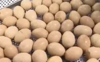 TP Hồ Chí Minh tăng cung ứng thực phẩm tiện lợi ra miền Bắc
