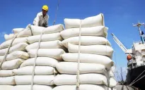 Xuất khẩu gạo vượt 4 tỷ USD