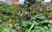 Cán bộ, chiến sĩ Công an tỉnh Tuyên Quang không quản khó khăn giúp dân trong bão lũ