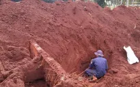Bình Phước: Tìm kiếm, cất bốc 73 hài cốt liệt sỹ tại huyện biên giới Lộc Ninh