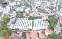 Hàng nghìn m2 đất di tích lịch sử bị lấn chiếm làm vườn lan