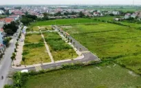 Sẽ dừng đấu giá đất nếu phát hiện hành vi thông đồng, dìm giá