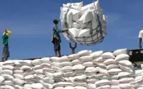 Việt Nam trúng 2 lô đấu thầu gạo Indonesia