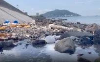 Vũng Tàu: Phạt chủ quán ốc hơn 300 triệu đồng vì xả thải ra biển