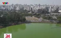 Hồ nước Brazil chuyển màu xanh lục do biến đổi khí hậu