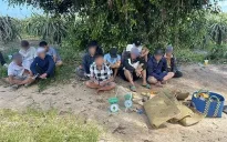 Bình Thuận: Triệt xoá tụ điểm đá gà bắt giữ 13 đối tượng