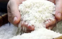 Giá gạo Nhật Bản tăng tới 40%