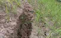 Di dời khẩn cấp nhiều hộ dân ở Nậm Pồ do xuất hiện các vết sạt trượt lớn