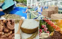 Xuất khẩu nông lâm thủy sản sớm cán đích 55 tỷ USD