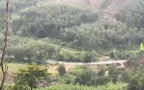 Quảng Nam đối mặt với nạn phá rừng nghiêm trọng để trồng cây keo