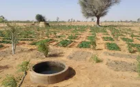 EU đồng thuận về tài chính khí hậu trước thềm COP29