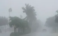 Siêu bão Milton đổ bộ Florida (Mỹ): Mưa lớn "ngàn năm có một", lốc xoáy thổi bay nhà