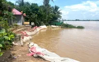 Đồng Tháp: Công bố tình huống khẩn cấp sạt lở bờ sông Tiền