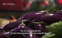 Fine Cuisine: Hương vị Ban Mê