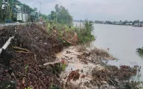 An Giang: Sạt lờ bờ sông Hậu do mưa lũ
