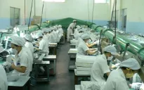 Số lượng doanh nghiệp tăng gấp hơn 10 lần sau 20 năm