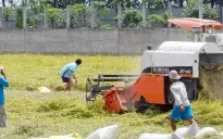 Xây dựng chương trình cho vay phục vụ đề án phát triển 1 triệu héc ta lúa tại Đồng bằng Sông Cửu Long