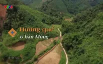 Nhịp đập Việt Nam: Hương quế bản Mông