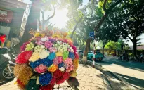 "Check-in" Hà Nội mùa thu: Những góc nhỏ làm say đắm lòng người