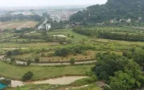 Dừng phiên đấu giá 39 lô đất ở Quốc Oai, Hà Nội