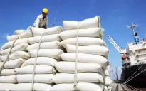 Giá gạo xuất khẩu của Việt Nam duy trì vị trí dẫn đầu thị trường