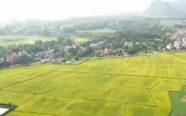 Đồng Nai ra quy định mới về xây dựng trên đất nông nghiệp