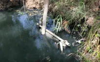 Vi phạm quy định về xả thải, Tổng Công ty Giấy Việt Nam bị phạt 1,89 tỷ đồng