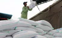 Ấn Độ bỏ giá sàn xuất khẩu, gạo Việt Nam có bị tác động?