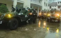 Đà Nẵng mưa to, gió lớn, cây xanh ngã đổ do bão số 6