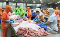 Xuất khẩu sang UAE: Việt Nam đứng trước cơ hội "vàng" để tăng trưởng tỷ đô