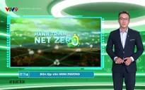 Hành trình Net Zero - Số 41 - 29/10/2024