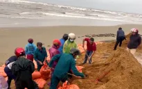 Huy động 150 người gia cố kè biển bị xói lở ở Hà Tĩnh