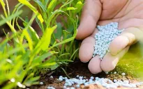 Áp thuế VAT với phân bón: Tạo sân chơi công bằng hơn?