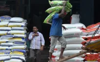 Giá gạo Ấn Độ chạm mức thấp nhất 15 tháng