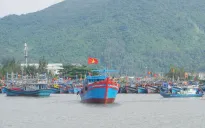 Đà Nẵng hướng dẫn, kêu gọi tàu thuyền về nơi tránh bão số 7