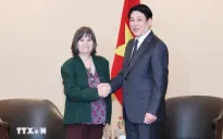 Chủ tịch nước Lương Cường tiếp đoàn Viện Văn hoá Hữu nghị Chile - Việt Nam