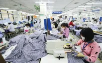 Hơn 202.000 doanh nghiệp thành lập mới và quay trở lại hoạt động trong tháng 10