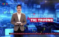 Kinh doanh Thị trường - 12/11/2024