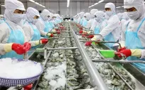 Mục tiêu 10 tỷ USD xuất khẩu thủy sản “trong tầm tay”