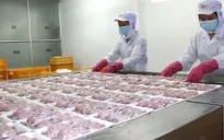 3 quyền lợi của người lao động đóng BHXH dưới 20 năm