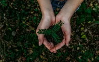 “Chữa lành” cho hành tinh xanh