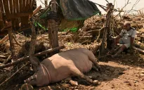 Bão chồng bão, Philippines chuẩn bị ứng phó với cơn bão thứ 6 Manyi