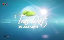 Trái đất xanh - 15/11/2024