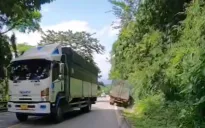 Xử phạt tài xế vượt ẩu trên đèo Bảo Lộc khiến xe ngược chiều lao xuống mương