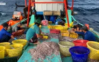 Việt Nam sẵn sàng đón đoàn thanh tra EC về chống khai thác IUU