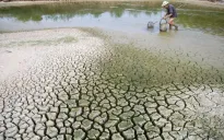 Thu hút tài chính khí hậu tại COP29