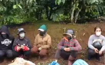 Gia tăng nhiều vụ trộm nông sản, phá hoại cây trồng tại Lâm Đồng